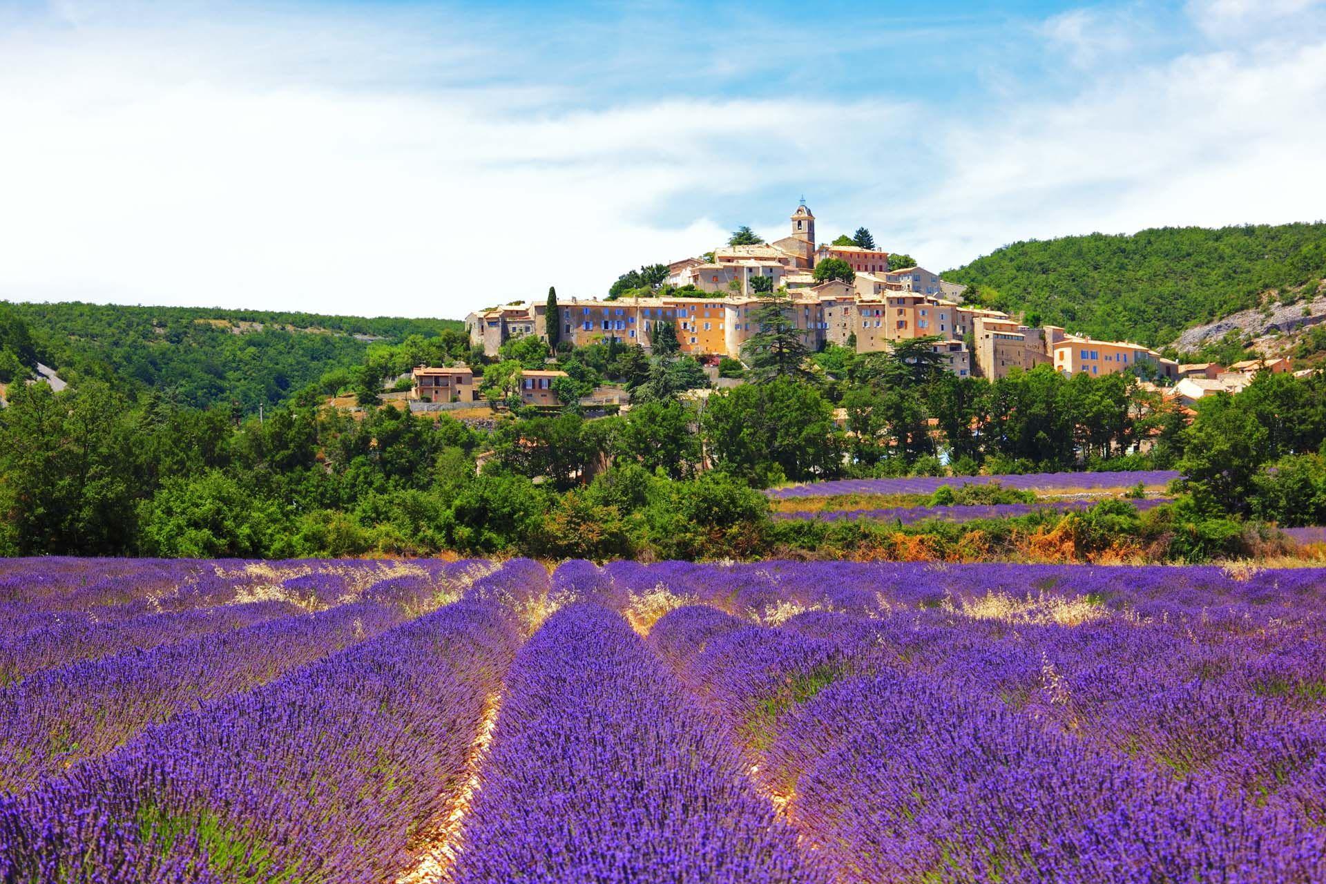 Cánh đồng Hoa Lavender miền Nam nước Pháp