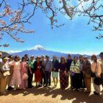 Trải nghiệm ngắm hoa anh đào Hanami tại Công viên Ueno Tokyo và chiêm ngưỡng Núi Phú Sĩ 2026