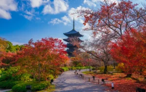 Chùa Toji - Kyoto
