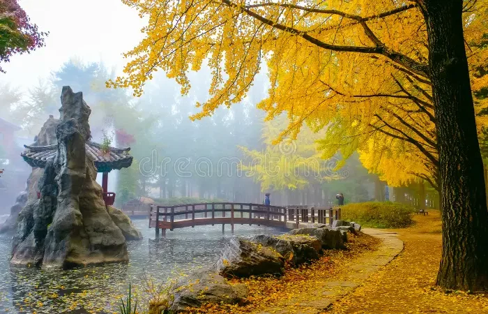 Đảo Nami (Namiseom)